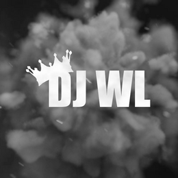 Dj WL BlumenauSC