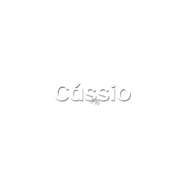 DJ Cassio PR