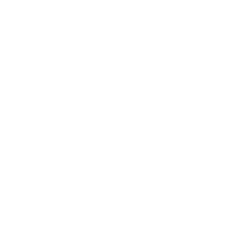deejay adryan br
