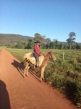 alan vitor de oliveira silva