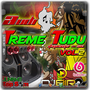 CD AUDI TREME TUDU VOL2 - BY DJ BIRO