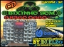CD  BIXINHO SOM E PAREDAO TRINCA FERRO BY DJ ELZO...