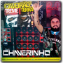 Cd Caveirao Treme Terra Vol 2