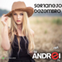 CD Sertanejo Dezembro