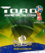 Toro Especial da Copa