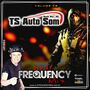 CD TS Auto Som - DJ Frequency Mix