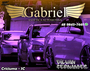Gabriel Estetica Automotiva
