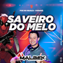 SAVEIRO DO MELO VOL1