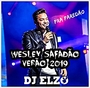 WESLEY SAFADAO VERAO 2019