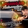 CD DOMINGAO AUTOMOTIVO PLANALTO RS
