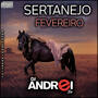 CD Sertanejo Fevereiro  2019