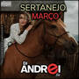 CD Sertanejo Marco 2019
