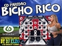 CD PAREDAO BICHO RICO 2019 BY DJ ELZO