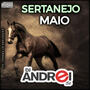 CD Sertanejo Maio 2019
