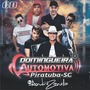 CD DOMINGUEIRA AUTOMOTIVA PIRATUBA 2019
