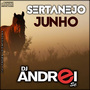 CD Sertanejo Junho 2019
