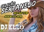 SERTANEJO AGOSTO 2019  AS 30 MAS DJ ELZO