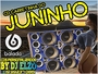 CD CARRETINHA DO JUNINHO BY DJ ELZO
