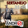 CD Sertanejo Julho 2019