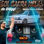 CD Gol Sarra Nelas Do Ghiggi