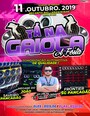 TA NA GAIOLA A FESTA  DJ CLEITON MIX