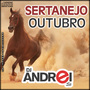 CD Sertanejo Outubro 2k19