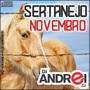 CD Sertanejo Novembro 2K19