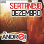 CD Sertanejo Dezembro 2k19