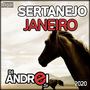 CD Sertanejo Janeiro 2020