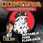 Comitivaa Velho Barreiroo