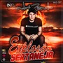 CD EXPLOSAO SERTANEJA VOLUME 33