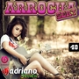 CD SERT ARROCHA VOL 48