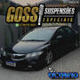 Goss Suspensoes Especiais