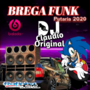 CD BREGA FUNK PUTARIA 2020