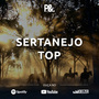 Cd Sertanejo Mais Tocadas 2020