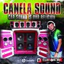 CANELA SOUND VIAMAO - RS DJ CLEITON MIX