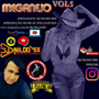 MEGANEJO DJ NILDO MIX 05