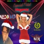 MEGA MIX ESPECIAL DE NATAL DJ NILDO MIX
