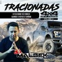 TRACIONADAS 4X4 VOLUME 4