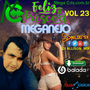 MEGANEJO  DJ NILDO MIX  VOL 23