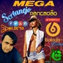 MEGA PANCADAO SERTANEJO DJ NILDO MIX