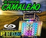 CD PAREDAO CAMALEAO PAQUETA PI DJ ELZO