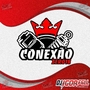 Cd Conexao Zero 18 By Dj Igor Fell