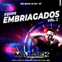 EQUIPE EMBRIGADOS VOL2