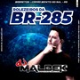 ROLEZEIROS DA BR 285 VOL1