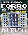 FORRO PRA PAREDAO JUNHO 2021 BY  DJ ELZO