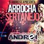 CD Arrocha Sertanejo Vol13 Dj Andrei SC