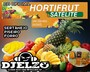 CD HORT FRUT SATELITE SO AS TOP  DJ ELZO