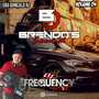 CD BrendoSound Vol4 - DJ Frequency Mix