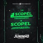 Scopel Transporte e Scopel Comercio